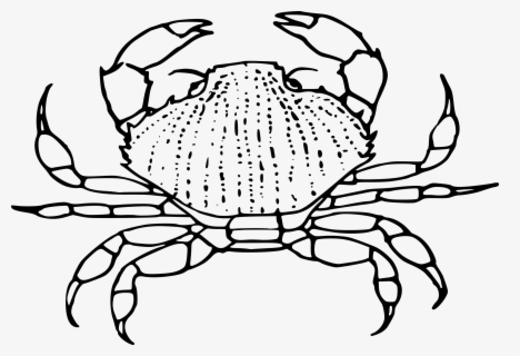 Moana Crab Clipart Free Transparent Clipart Clipartkey