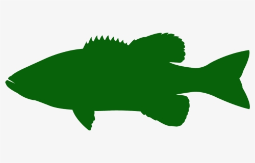 Download Free Bass Fish Silhouette Clip Art With No Background Clipartkey