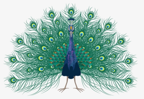 Peafowl Feather Clip Art - Mor Pankh Images Png , Free Transparent ...