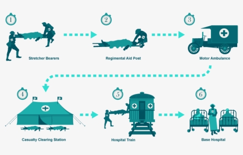 Ww1 Flowchart Medical Treatment - Chain Of Evacuation Ww1 , Free Transparent Clipart ...