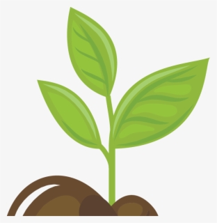 Growing Plants Animation Png , Free Transparent Clipart - ClipartKey