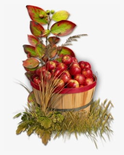 Free Apple Basket Clip Art with No Background - ClipartKey