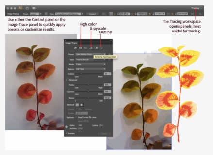 adobe illustrator image trace to vector