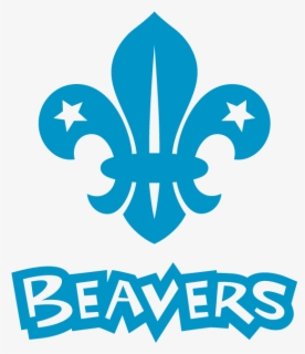 Free Beaver Clip Art with No Background - ClipartKey