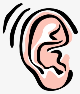 Ear Free Image Of The Clip Art On Transparent Png - Ear Clipart , Free ...