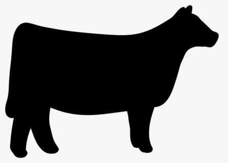 Clip Art Cow Clipart Heifer Pictures - Heifer Show Cattle Silhouette ...