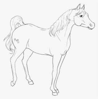 Star Stable Logo Png - Star Stable Logo Jpg , Free Transparent Clipart ...