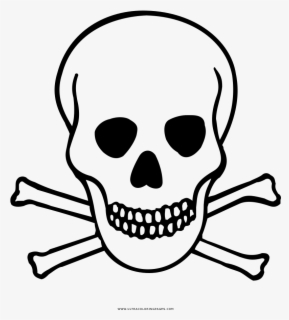 Transparent Skull And Crossbones Png - Hazard Warning Label Toxic ...