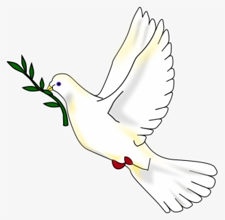 Transparent Dove Clipart - Holy Spirit Clipart Doves , Free Transparent ...