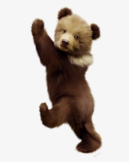 Free Bear Cub Clip Art With No Background Clipartkey