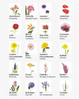 Name Kinds Of Flowers , Free Transparent Clipart - ClipartKey