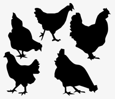 Download Free Chicken Silhouette Clip Art With No Background Clipartkey