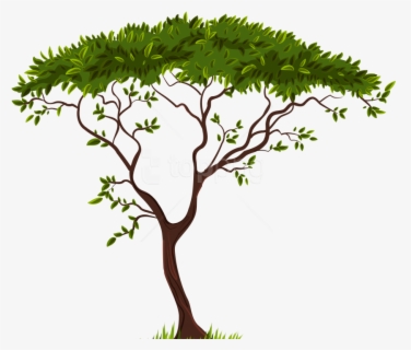 Free Tree Transparent Background Clip Art With No Background Clipartkey
