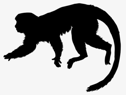 Tamarin Silhouette , Free Transparent Clipart - ClipartKey