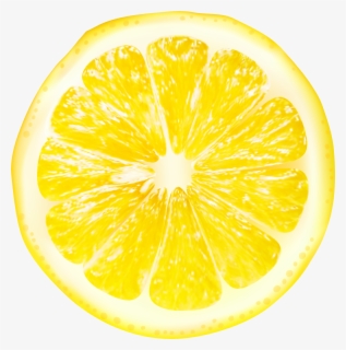 Lemon PNG Instant Download CA205 Lemon Lemon Digital Lemon Clip Art