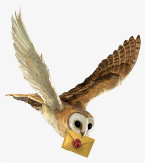 Download Free Harry Potter Owl Clip Art With No Background Clipartkey