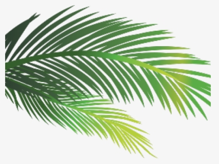 Sauna Clipart Palm Tree , Free Transparent Clipart - ClipartKey