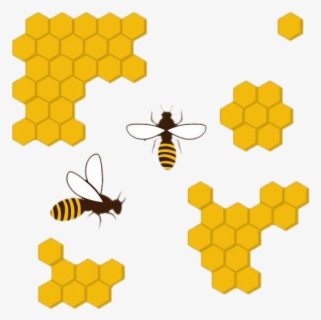 Transparent Honeycomb Design Clipart - Honey Bee Comb Clipart , Free ...