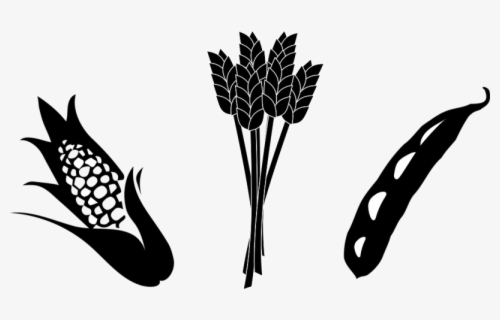 Download Free Wheat Black And White Clip Art With No Background Page 2 Clipartkey