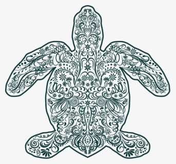 Olive Ridley Sea Turtle Drawings , Free Transparent Clipart - ClipartKey