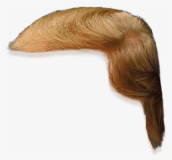 Donald Trump Hair Side View Png Transparent Clipart - Donald Trump Hair ...