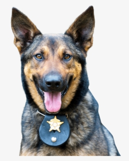 mad city wiki roblox mad city police dog hd png download transparent png image pngitem