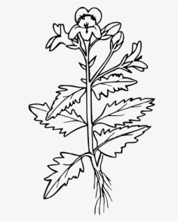 Clip Art Mustard Yellow Color Palette - Mustard Yellow Color Code