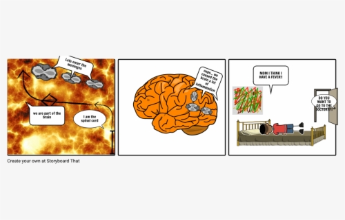 Meninges Of The Brain Cartoons , Free Transparent Clipart - ClipartKey