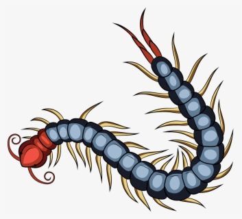 Light Brown Millipede - Millipede Png , Free Transparent Clipart