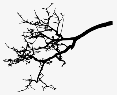 Oak Twig Tree Branch Free Frame Clipart - Black And White Tree Pdf ...