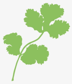 transparent cilantro png coriander free transparent clipart clipartkey clipartkey