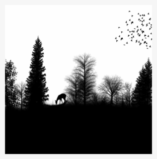 Download Free Forest Silhouette Clip Art With No Background Clipartkey