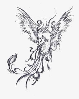 tattoo phoenix sleeve legendary drawing creature phoenix rising from the ashes drawing free transparent clipart clipartkey tattoo phoenix sleeve legendary drawing