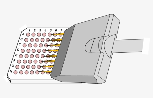 Graphic Free Download Pencil And In Color - 96 Well Plate Clip Art ...