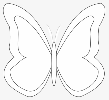 Butterfly Outline Clipart Butterfly Outline Drawing - Outline Images Of ...