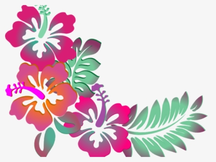 Hibiscus Clipart Banner - Flower Clipart Border Design , Free ...