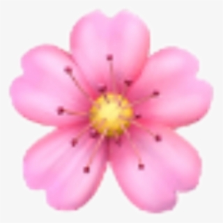 Iphone Flower Emoji Png , Free Transparent Clipart - ClipartKey