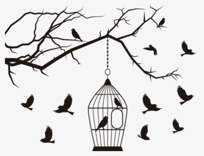 Birds Aves Pajaros Pajaros Rama Branch Jaula Cage Amor Jaulas Con Pajaritos En Paredes Free Transparent Clipart Clipartkey