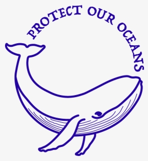 Protect Our Oceans Png , Free Transparent Clipart - ClipartKey