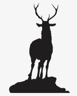 Reindeer Silhouette Elk Roe Deer Cervo Png Free Transparent Clipart Clipartkey