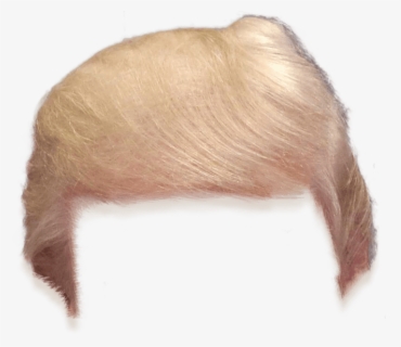 Thumb Image - Transparent Png Donald Trump Clip Art , Free Transparent ...