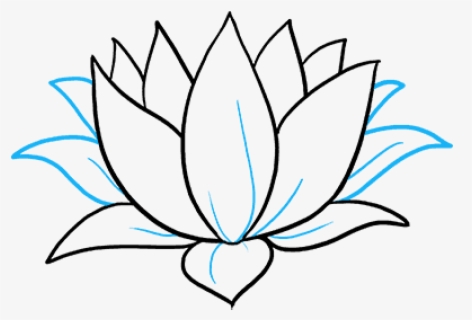 Lily Pad Outline - Easy Spring Flower Drawing , Free Transparent ...