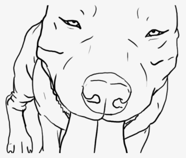 Easy American Bully Drawing , Free Transparent Clipart - ClipartKey