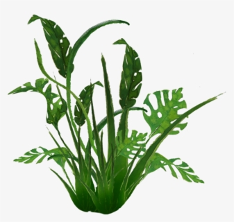 Download Transparent Jungle Plants Png - Jungle Plants Transparent