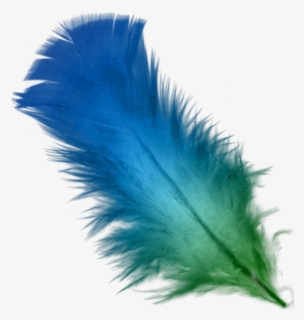 Download Feather With Birds Svg Free Free Transparent Clipart Clipartkey