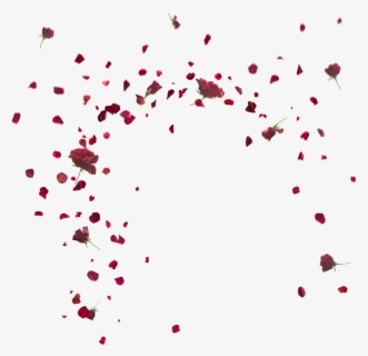Rose Petals Falling Png - Red Cherry Blossom Border , Free Transparent ...
