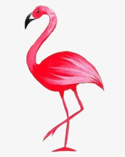 Flamingostickerremix Flamingo Flamenco Greater Flamingo Free Transparent Clipart Clipartkey