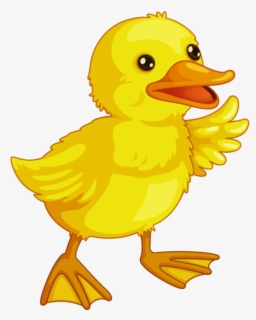 Fight Clipart Unfriendly - Clipart Ducks , Free Transparent Clipart ...