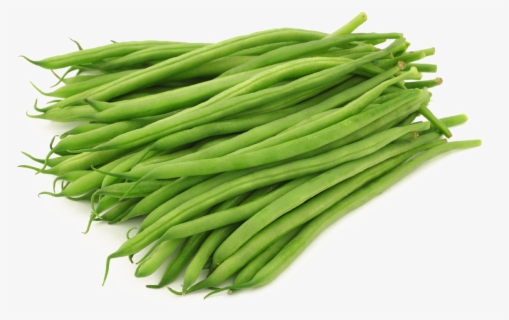 Transparent String Bean Clipart - Cooked Green Beans Png , Free ...