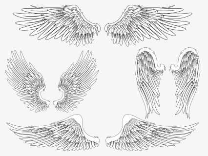 Realistic Angel Wings Png Image - Transparent Angel Wings Png , Free ...